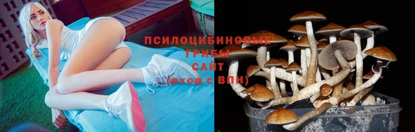 дживик Вяземский