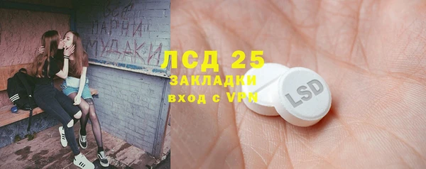 дживик Вяземский