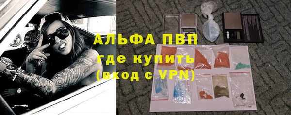 дживик Вяземский