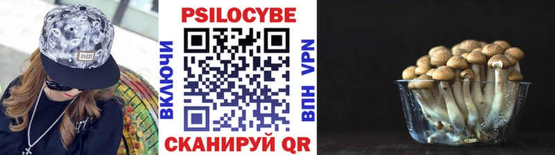 Псилоцибиновые грибы мицелий Десногорск