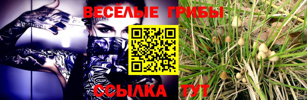 Галлюциногенные грибы прущие грибы  Вход с VPN  Псилоцибиновые грибы Psilocybine cubensis  Десногорск 