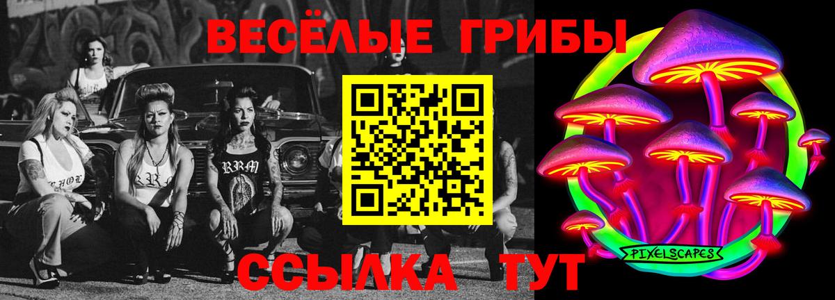 Псилоцибиновые грибы мицелий Десногорск